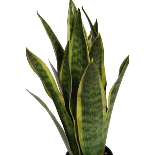 SANSEVIERIA EN MACETA ARTIFICIAL 62CM 2