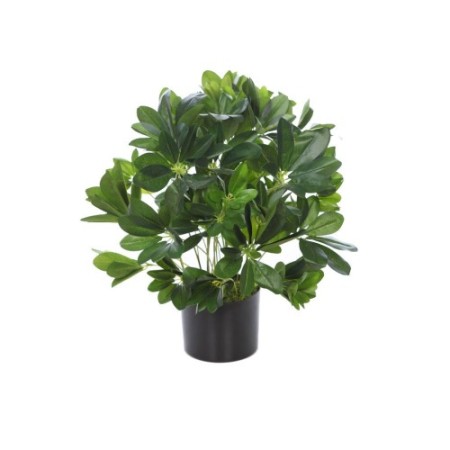 SCHEFFLERA ARTIFICIAL  45CM