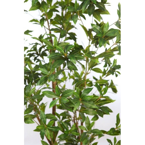 SCHEFFLERA EN MACETA ARTIFICIAL 195CM 2