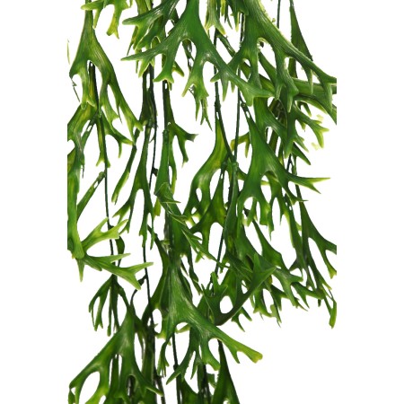 COLGANTE CUERNO DE ALCE 80CM