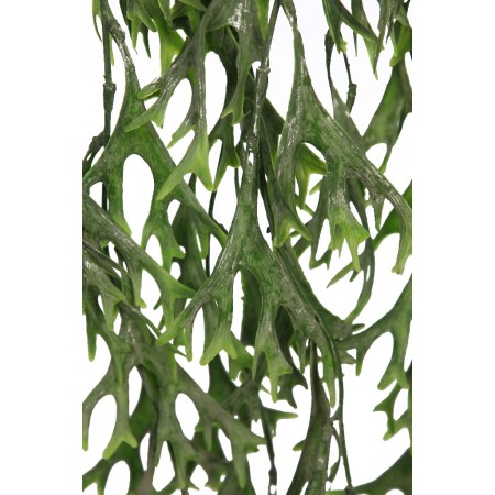 COLGANTE CUERNO DE ALCE 80CM