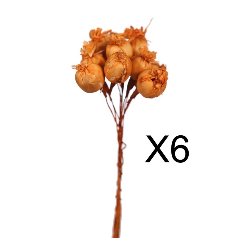 SET 6 RAMILLETES SOLA POPPY 22CM