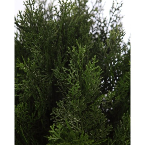 SETO TUYA ARTIFICIAL 75CM 2