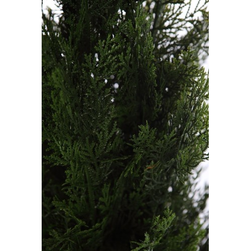 SETO TUYA ARTIFICIAL 75CM 2