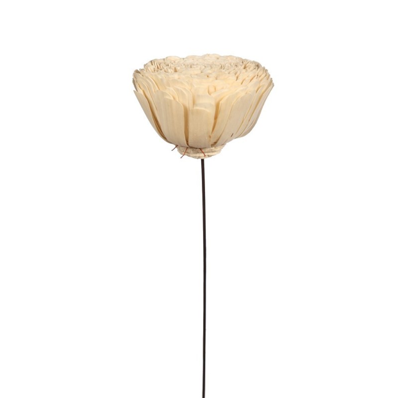 SOLA BELLY GIGANTE ø 20CM