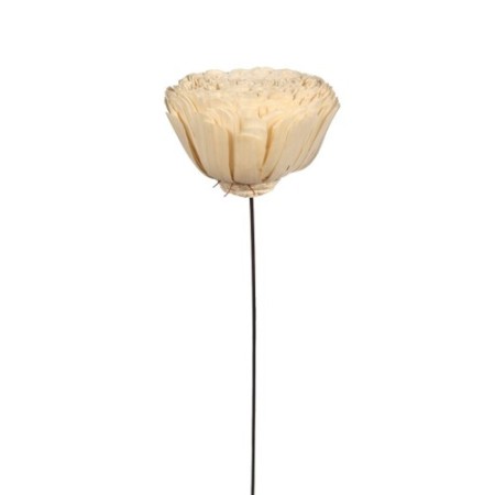 SOLA BELLY GIGANTE ø 20CM