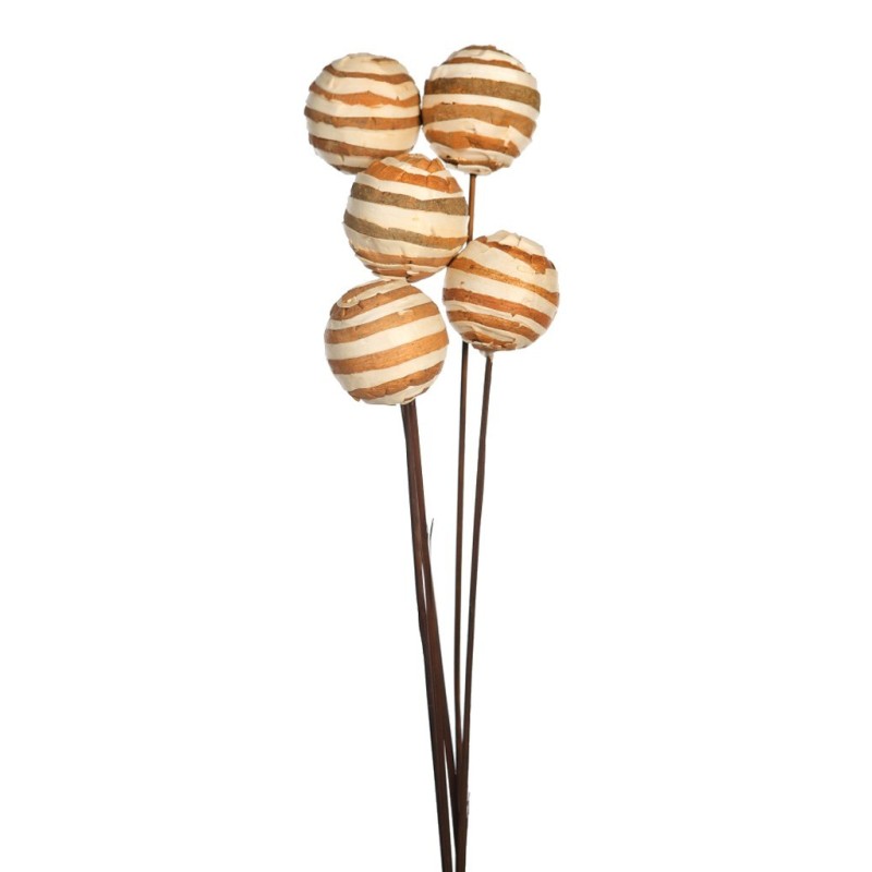 SOLA ZEBRA/GLOBE ON STEM 5 PCS 75CM