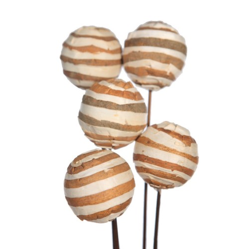 SOLA ZEBRA/GLOBE ON STEM 5 PCS 75CM 2