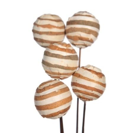 SOLA ZEBRA/GLOBE ON STEM 5 PCS 75CM