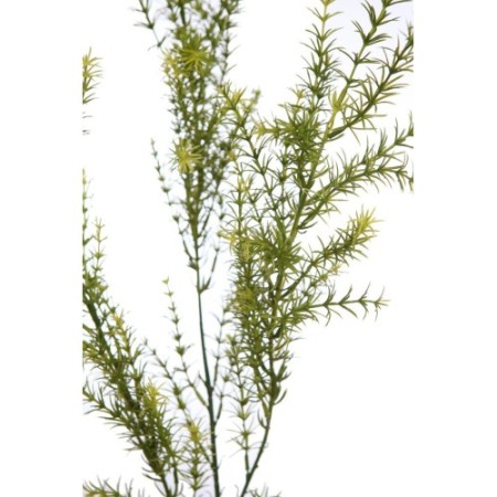 VARA DE ESPARRAGUERA ARTIFICIAL 66CM