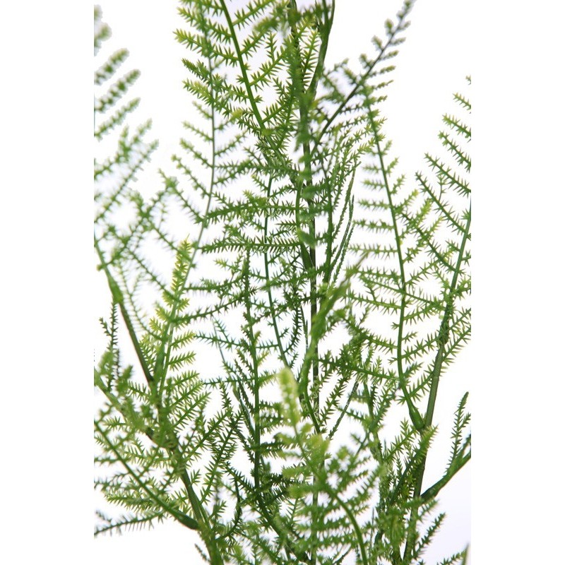 VARA ESPARRAGUERA ARTIFICIAL 70CM