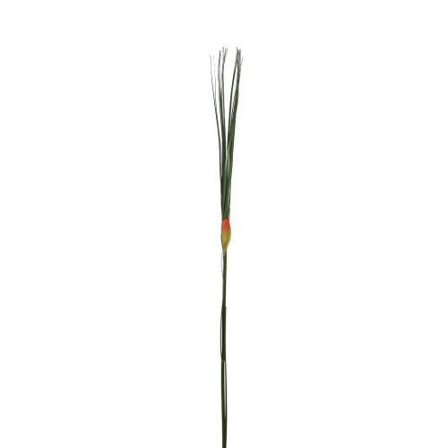 VARA HIERBA GRASS 94CM