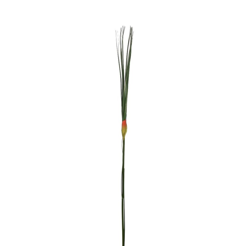 VARA HIERBA GRASS 94CM