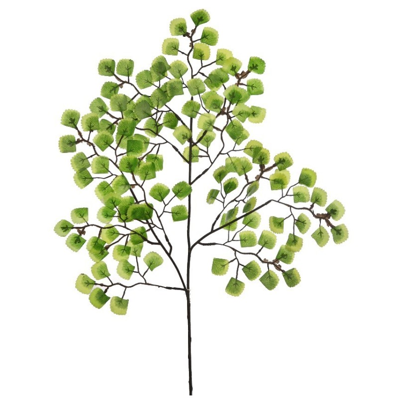 VARA HOJA MINI CABELLO DE VENUS 54CM