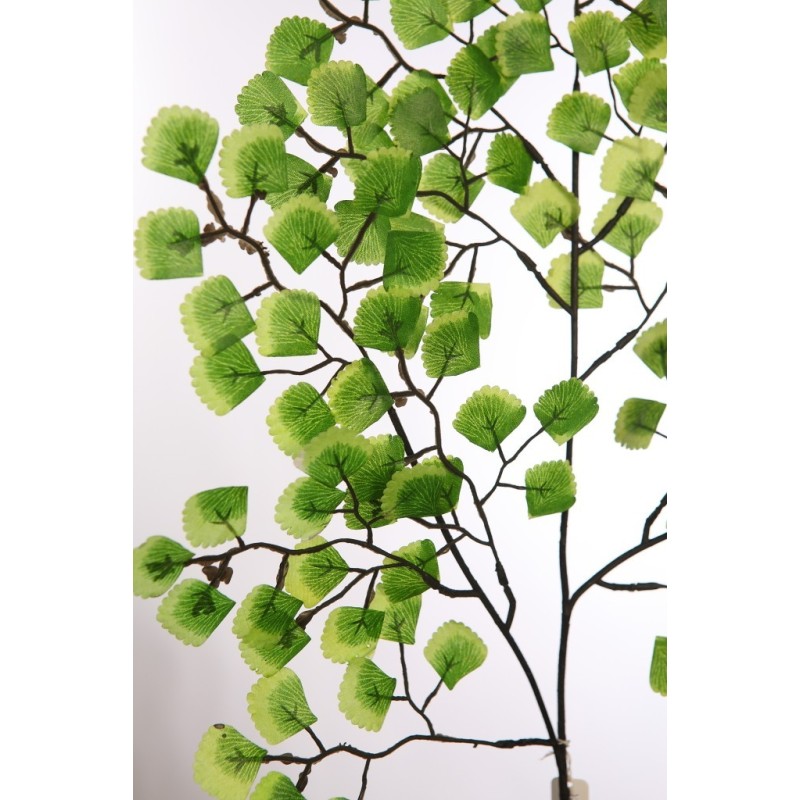 VARA HOJA MINI CABELLO DE VENUS 54CM