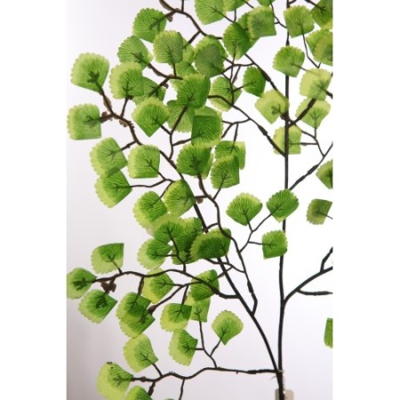 VARA HOJA MINI CABELLO DE VENUS 54CM