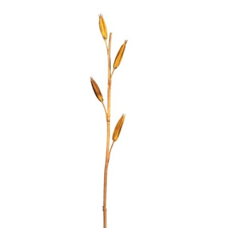 VARA LILY BUDS 100CM