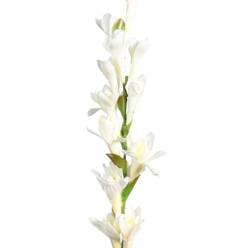 VARA NARDOS ARTIFICIALES 75CM 2