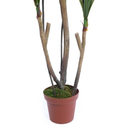 YUCA ARTIFICIAL EN MACETA 185CM ANCHO 80CM