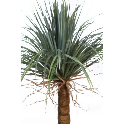 YUCCA ARTIFICIAL 150CM 2