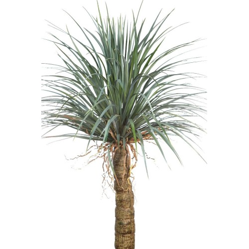 YUCCA ARTIFICIAL 200CM 2