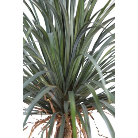 YUCCA ARTIFICIAL 200CM