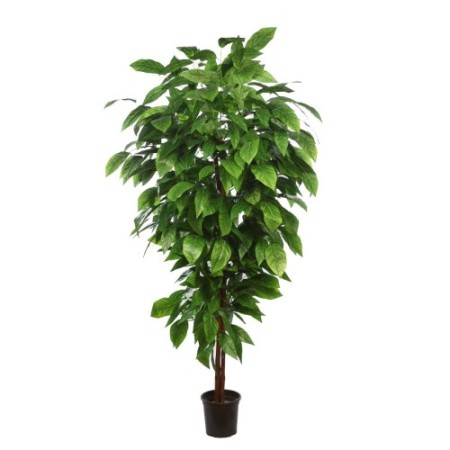 ARBOL ARTIFICIAL MANGO HOJA ANCHA 185CM