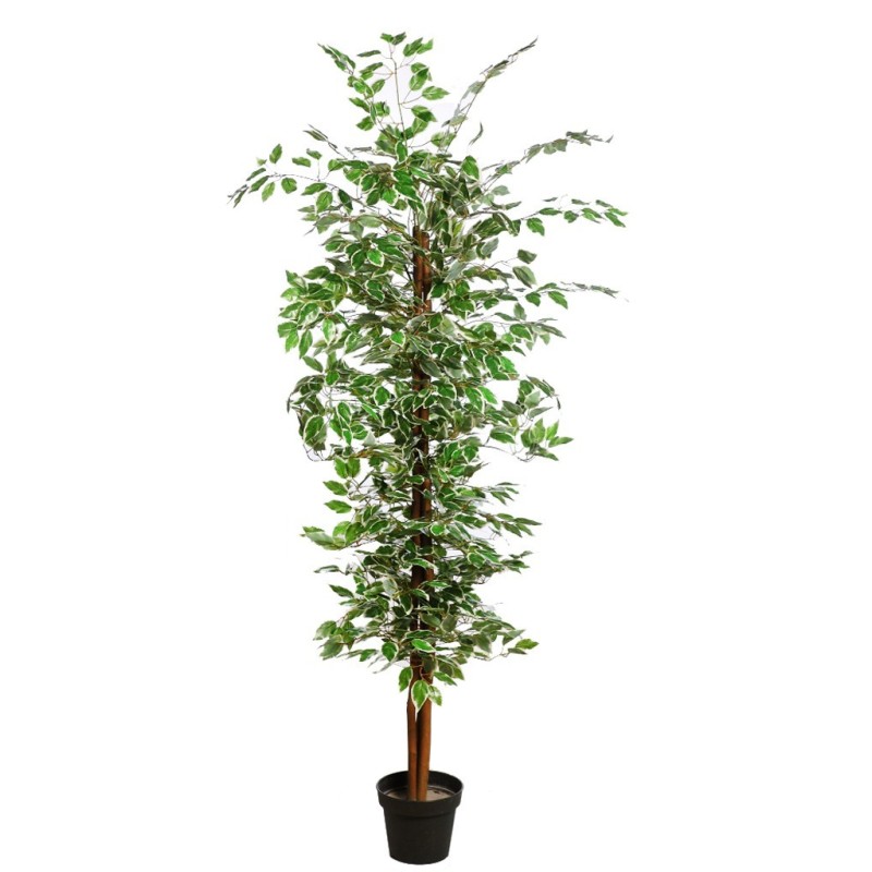 ARBOL FICUS ARTIFICIAL 180CM