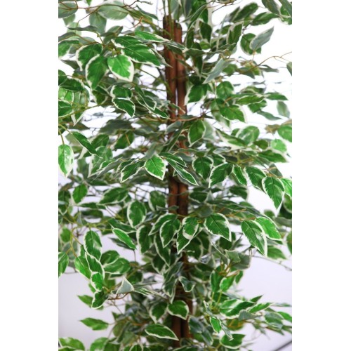 ARBOL FICUS ARTIFICIAL 180CM 2