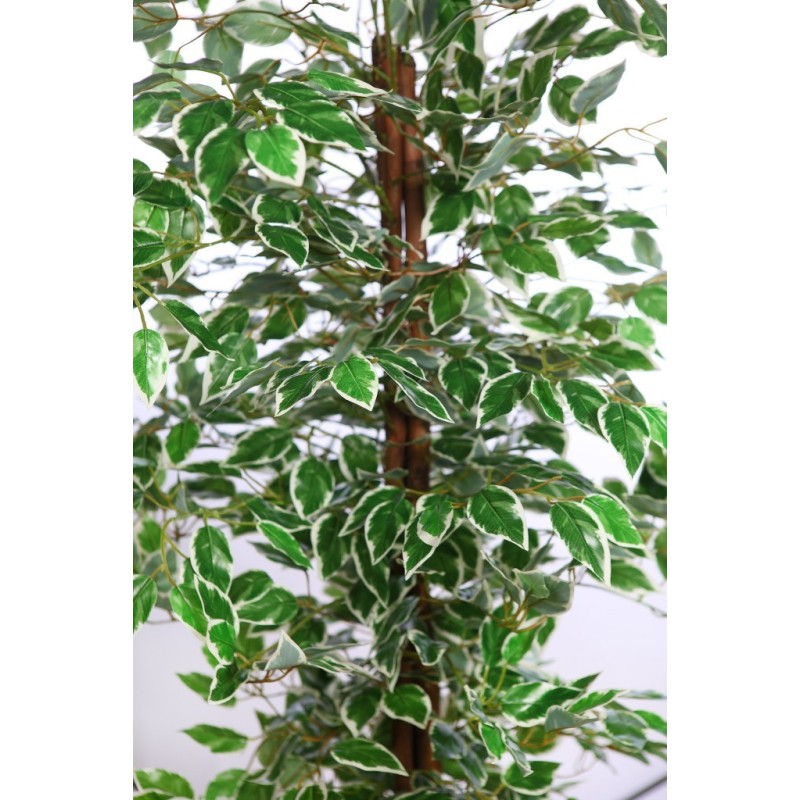 ARBOL FICUS ARTIFICIAL 180CM