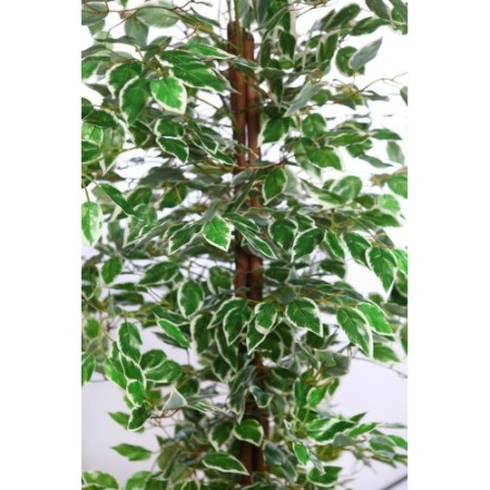 ARBOL FICUS ARTIFICIAL 180CM