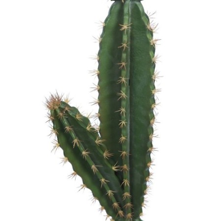 CACTUS CON MACETA 135CM