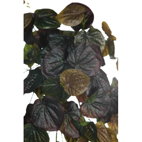 COLGANTE PEPEROMIA ARTIFICIAL 70CM 2