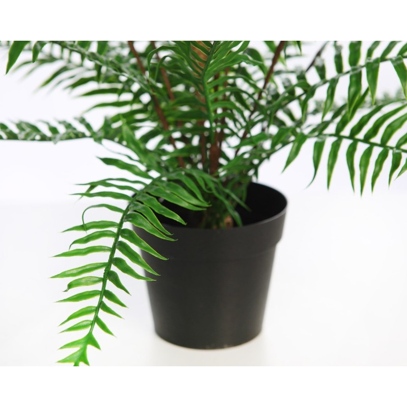 HELECHO BROTES EN MACETA 45CM