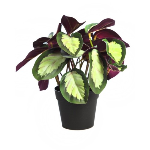 MACETA CALATEA ARTIFICIAL 25CM