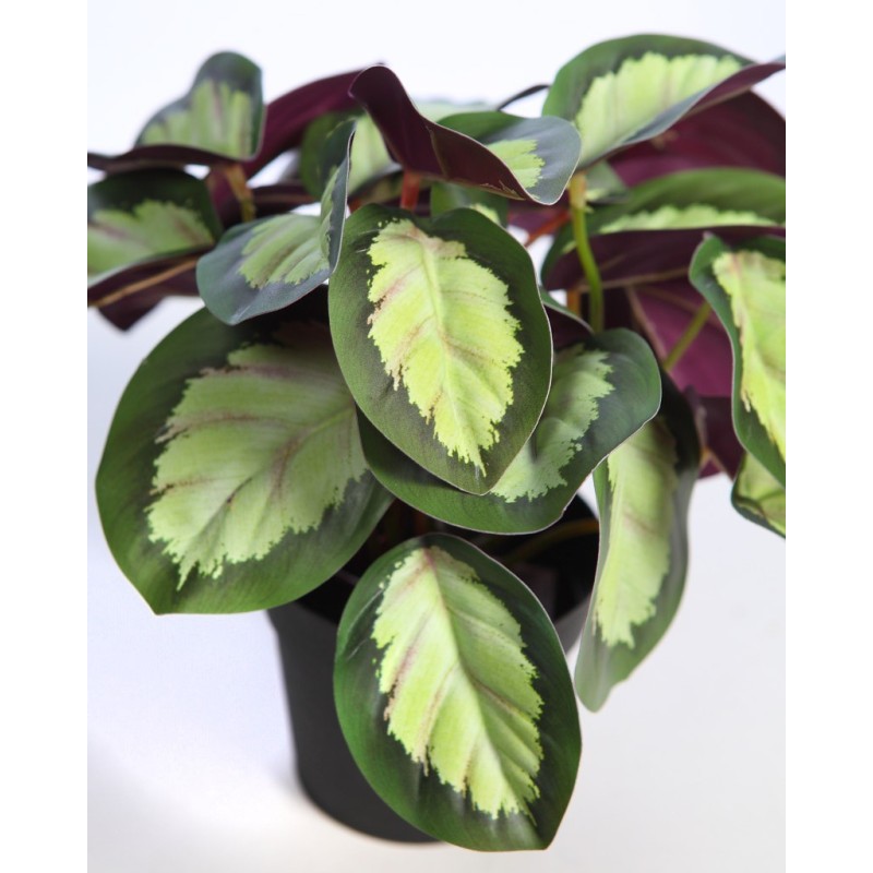 MACETA CALATEA ARTIFICIAL 25CM