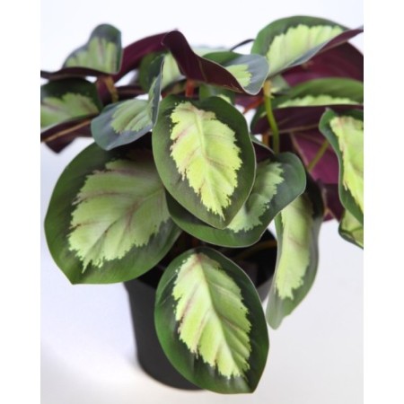 MACETA CALATEA ARTIFICIAL 25CM