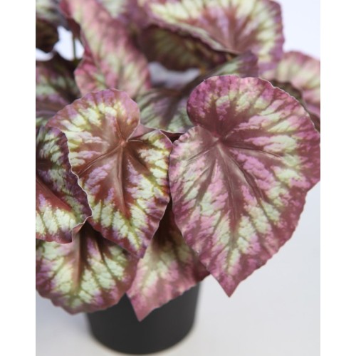 MACETA COLEO ARTIFCIAL 25CM 2