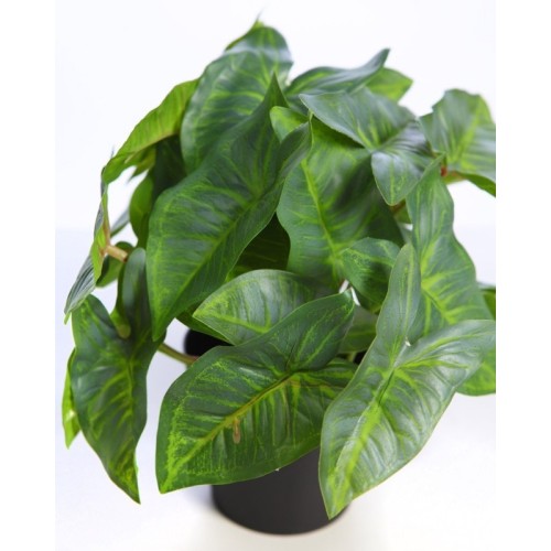 MACETA SINGONIO ARTIFICIAL 25CM 2