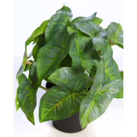 MACETA SINGONIO ARTIFICIAL 25CM