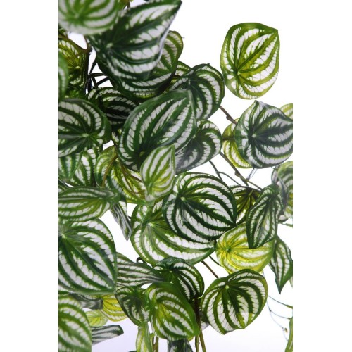 PEPEROMIA BICOLOR ARTIFICIAL COLGANTE 75CM 2