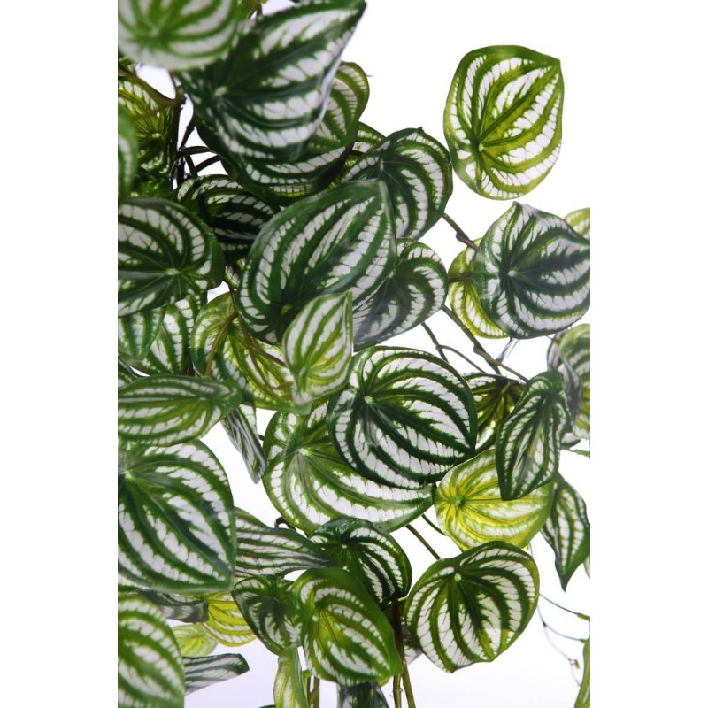 PEPEROMIA BICOLOR ARTIFICIAL COLGANTE 75CM
