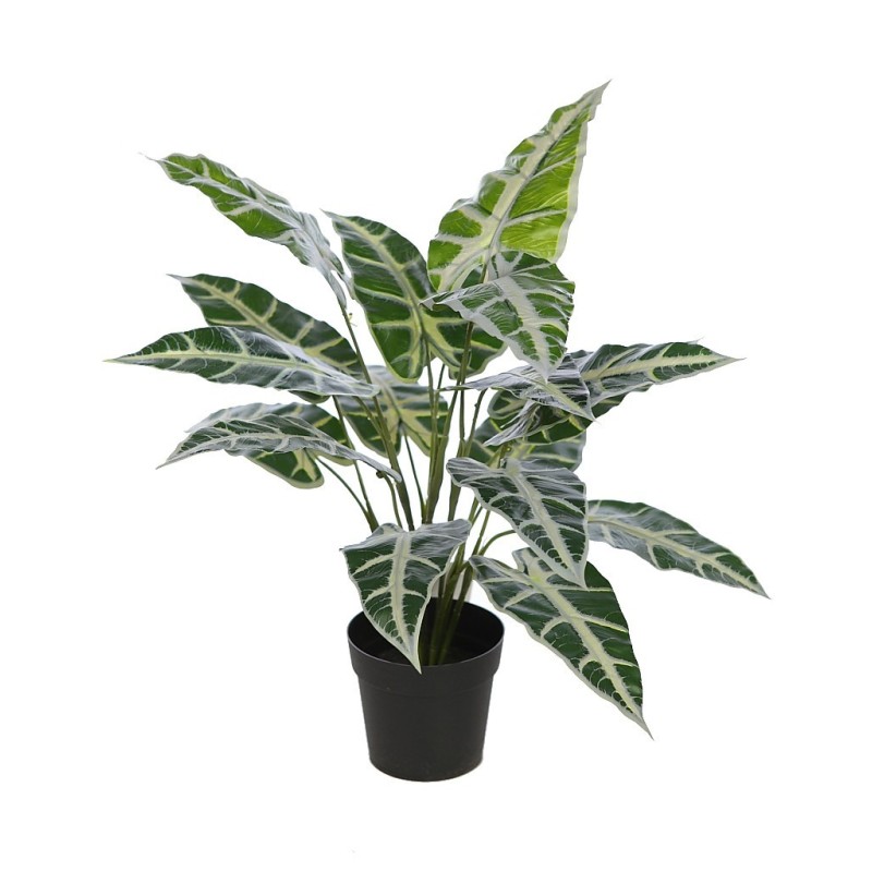 PLANTA ALOCASIA SANDERIANA ARTIFICIAL