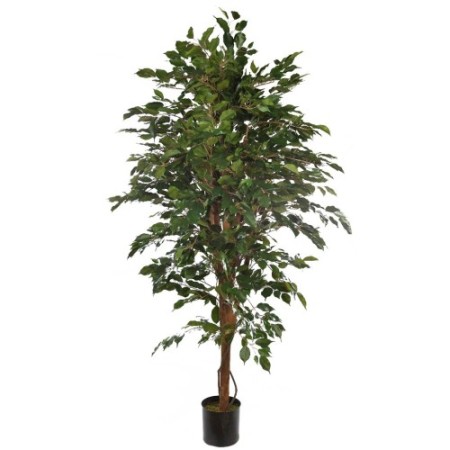 ARBOL DE FICUS ARTIFICIAL 180CM
