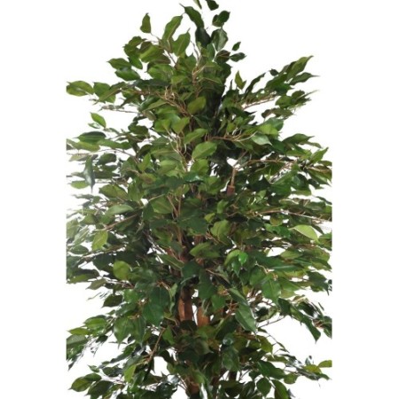 ARBOL DE FICUS ARTIFICIAL 180CM