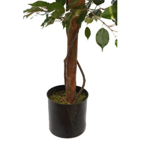 ARBOL DE FICUS ARTIFICIAL 180CM