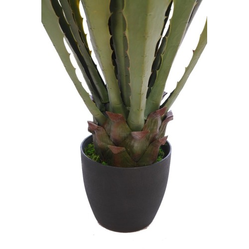 CACTUS AGAVE CON MACETA 105 CM 2