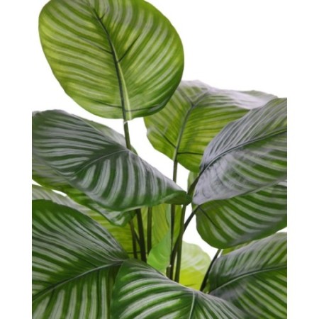CALATHEA ARTIFICIAL EN MACETA 90CM