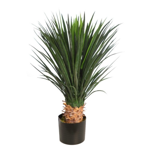 PLANTA DE AGAVE CACTUS CON MACETA 80 CM