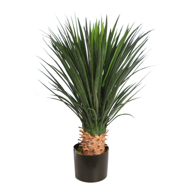 PLANTA DE AGAVE CACTUS CON MACETA 80 CM